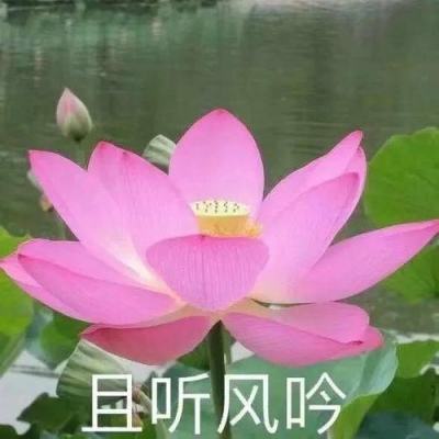 神魔仙逆录官方版下载
